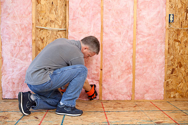 Best Insulation Materials and Products in Chena Ridge, AK