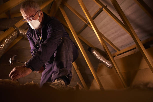 Types of Insulation We Offer in AK